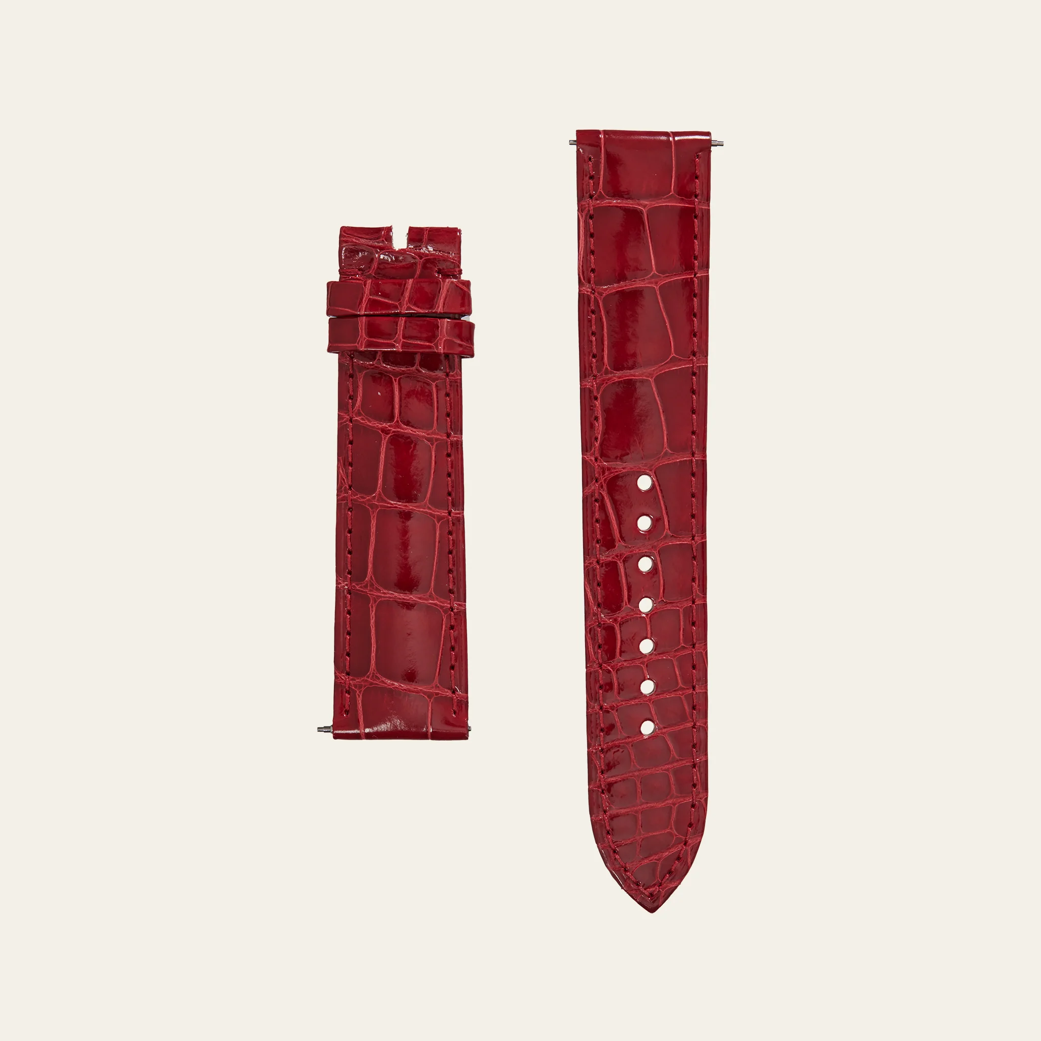 Astronomia Solar Zodiac 45.5mm Watch Straps